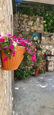 an orange pot of flowers hanging on a wall at Boutique Home Saltaragazza in Petrovac na Moru