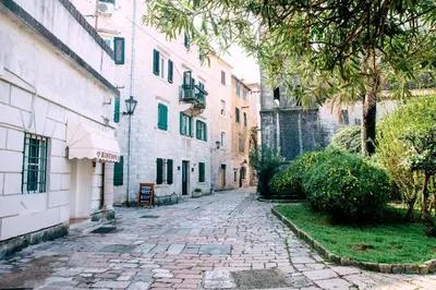 a cobblestone street in an alley with buildings at D & Sons Apartments in Kotor