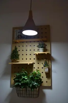 a light hanging from a ceiling with potted plants on shelves at Apartman L&M in Cetinje