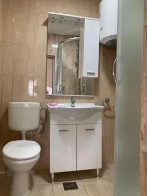 a bathroom with a toilet and a sink and a mirror at Apartments Batalo in Budva