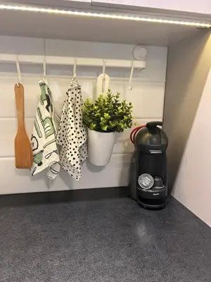 a coffee maker and plants on a shelf in a kitchen at Studio Lucica in Petrovac na Moru