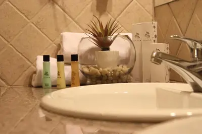 a bathroom sink with three toothbrushes and a potted plant at Accommodation Dolcino in Ulcinj