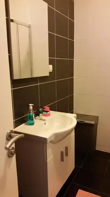 a bathroom with a sink and a mirror and a toilet at M&M Apartman 2 in Rafailovici