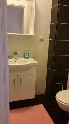 a bathroom with a sink and a toilet at M&M Apartman 2 in Rafailovici