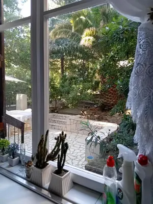 a window sill with cactuses and a view of a patio at Apartment Botanicheskiy Sad in Sutomore