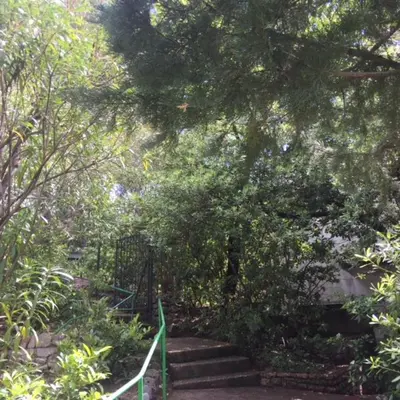 a set of stairs in a garden with trees at Apartment Botanicheskiy Sad in Sutomore