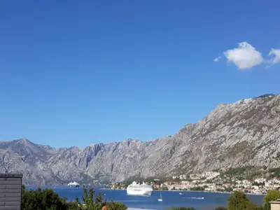 a view of a bay with a cruise ship at Maritimo Apartments in Kotor