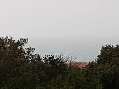 a view of the ocean from behind some trees at Apartmani Vila Ebra in Utjeha