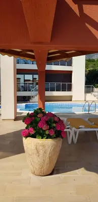 a pot of flowers sitting under a pavilion next to a pool at Apartment Sea Space 2 in Dobra Voda