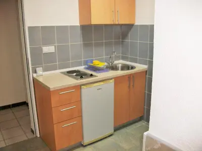 a small kitchen with a sink and a stove at Apartments Petrovic in Krimovice