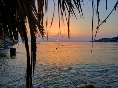 a sunset over the water with a palm tree at Casa Mila apartments & bungalows in Ulcinj