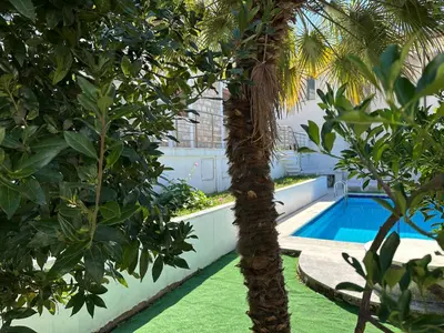 a palm tree next to a swimming pool at Budva City - Villa Antic - Private Pool in Budva