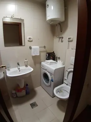 a bathroom with a washing machine and a toilet at City kvart na dan in Podgorica