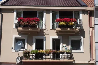 a building with flower boxes on its windows at Vida`s house in Virpazar