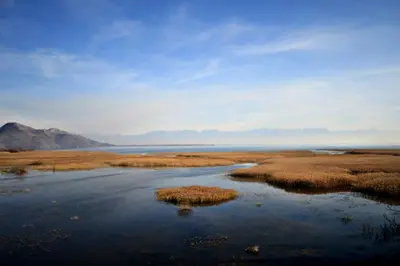 a body of water with grass and mountains in the background at Vida`s house in Virpazar
