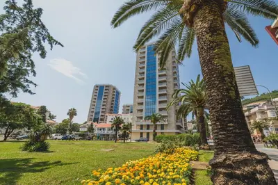 a palm tree and flowers in a park with a building at Apartments Krug in Budva