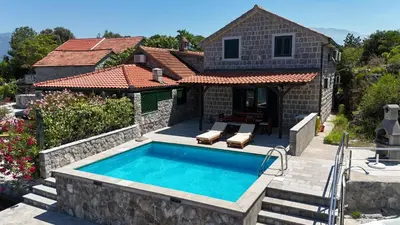 a house with a swimming pool in front of a house at Apartments Kovinic in Tivat