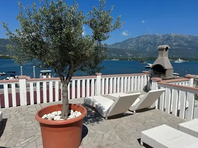 a tree in a pot on a patio with chairs at Apartments Kovinic in Tivat