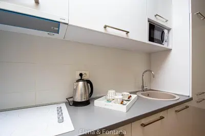 a kitchen counter with a sink and a coffee maker at Elena&Fontana Apartment in Budva