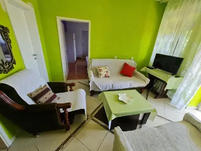 a living room with green walls and a couch and chairs at Apartment Dragone in Ulcinj