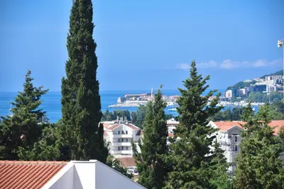 a group of trees in front of the ocean at Apartments Mara in Budva