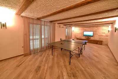 a ping pong table in the middle of a room at Villa Dub in Kotor