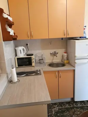 a small kitchen with a sink and a microwave at House Stijepovic in Petrovac na Moru