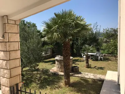 a palm tree in the yard of a house at Holiday Home Celuga in Bar