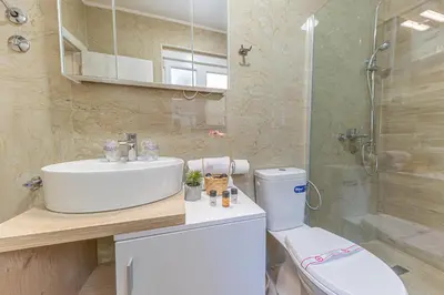 a bathroom with a sink and a toilet and a shower at Skadar lake Apartments Pajovic in Virpazar