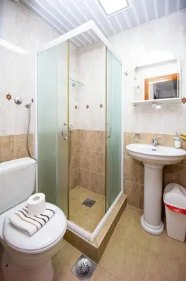 a bathroom with a shower and a toilet and a sink at Tanja Apartments in Rafailovici