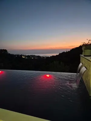 a dolphin jumping out of the water at sunset at Apartments Merin in Utjeha