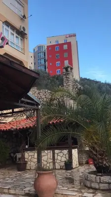 a group of plants in pots in front of buildings at Anja Apartment in Rafailovici