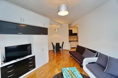 a living room with a couch and a flat screen tv at Anja Apartment in Rafailovici