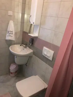 a small bathroom with a sink and a toilet at Vila POGLED in Bar