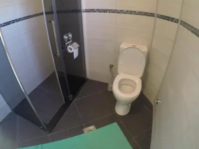 a bathroom with a toilet and a shower at Holiday Home Free your mind in Dobra Voda