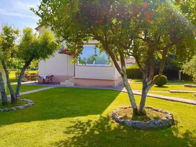 a garden with two trees in a yard at Apartment Helena Airport in Podgorica