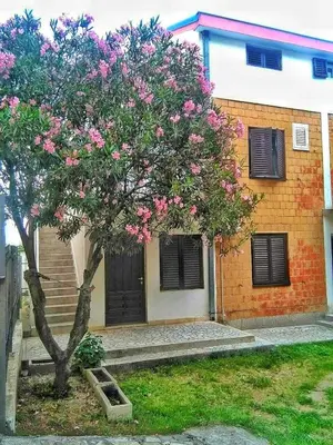 a tree with pink flowers in front of a house at Vojinovic Apartments in Budva