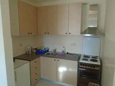 a small kitchen with a stove and a sink at Fantastic brand new apartment in Podgorica