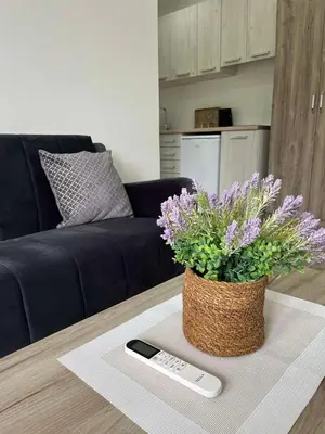a remote control sitting on a table with a vase of flowers at Demiri Rr in Ulcinj