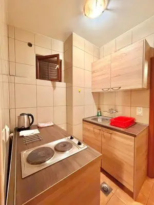 a small kitchen with a stove and a sink at Beachfront Apartments Oaza 1 in Petrovac na Moru