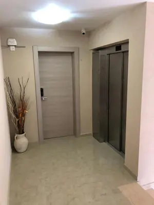 a hallway with two doors and a plant in a vase at Al Mare apartments Budva in Budva