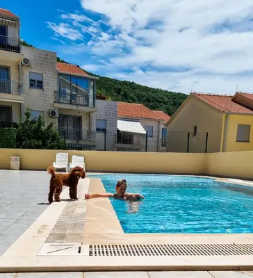 a boy and a dog standing in a swimming pool at Anja & Ogo apartments with Pool 2 in Petrovac na Moru