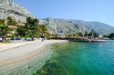 a beach with trees and mountains in the background at Central Apartment in Kotor
