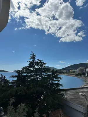 a view of a lake with a tree in the foreground at Meridian Hotel in Budva