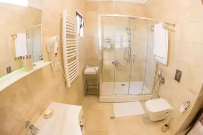 a bathroom with a shower and a toilet and a sink at Townhouse Virginia in Petrovac na Moru