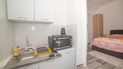 a kitchen with a sink and a microwave at Apartment Milena in Virpazar