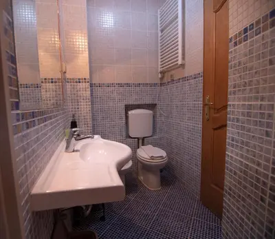 a bathroom with a sink and a toilet at Apartments and Rooms Levantin Inn in Sveti Stefan
