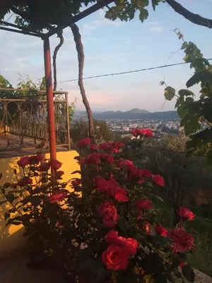 a bunch of roses in a garden with a view at Apartman 