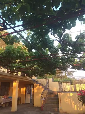 a staircase leading up to a building with a tree at Apartman 