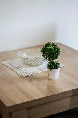 a wooden table with two potted plants and a bowl at Apartment Lazar & Marco in Podgorica